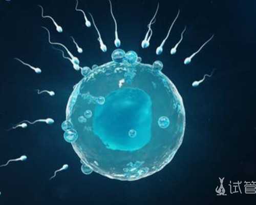私人医院试管婴儿操作指南与注意事项