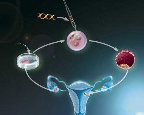 温州试管婴儿成功需要几次尝试?成功率与影响因素解析