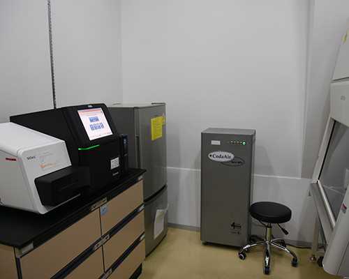 2024年温州试管代生助孕费用全解析：生宝宝总成本预估