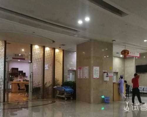 2024借卵试管排队时间与费用详解及助孕医院推荐