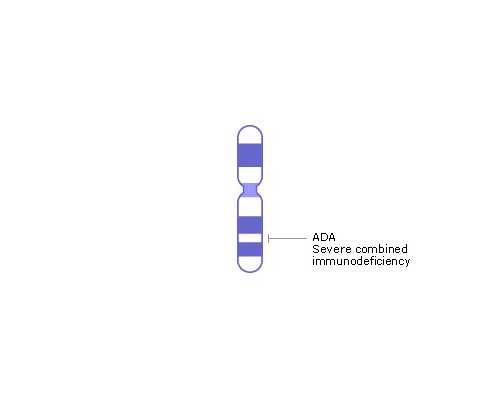 温州三代试管技术如何实现助孕与性别选择?附二医专业解析