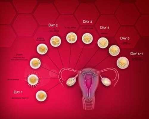 温州试管婴儿费用明细解析：助孕价格与代怀服务指南