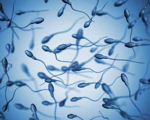 温州一医院试管婴儿技术优势解析:成功率与专业服务