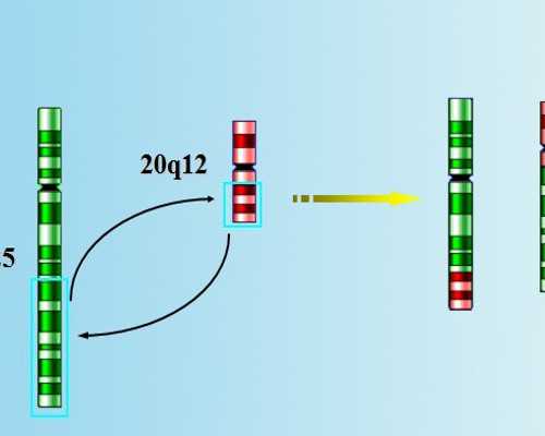 三代试管技术优势与助孕机构选择指南