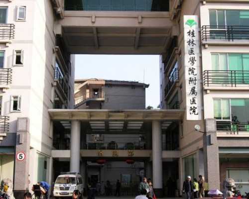 试管技术提升双胞胎男孩生育概率的解析