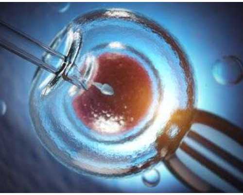 2024年试管婴儿成功率与费用解析及助孕选择指南