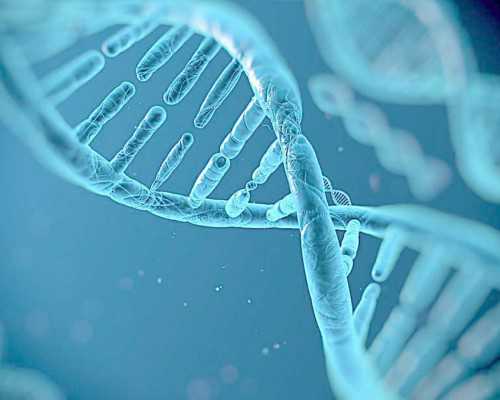 正规代孕医院与第三代试管婴儿流程详解及最佳选择