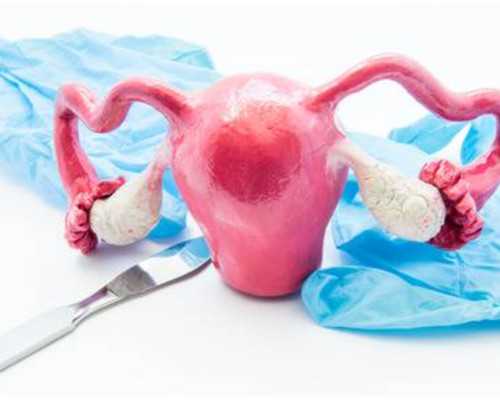 温州试管助孕医院选择指南与成功率分析