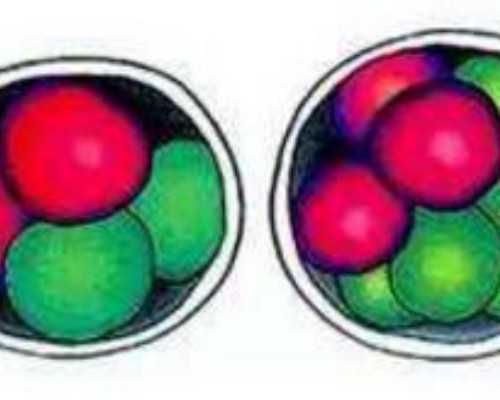 2025年权威试管婴儿医院排行榜及助孕指南