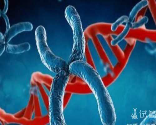 浙江试管助孕医院Top10权威排名与专业服务指南