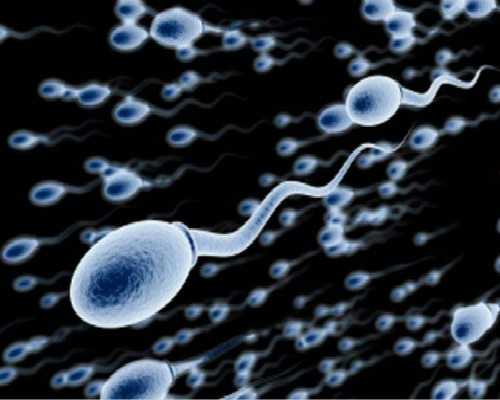 正规试管代孕医院与供卵试管服务指南