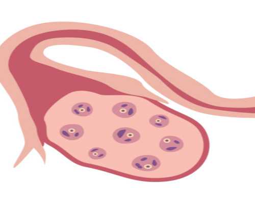 温州试管婴儿哪家医院技术强?私立助孕机构排名与选择指南