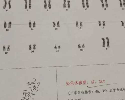 温州乐清试管婴儿医院指南与费用解析