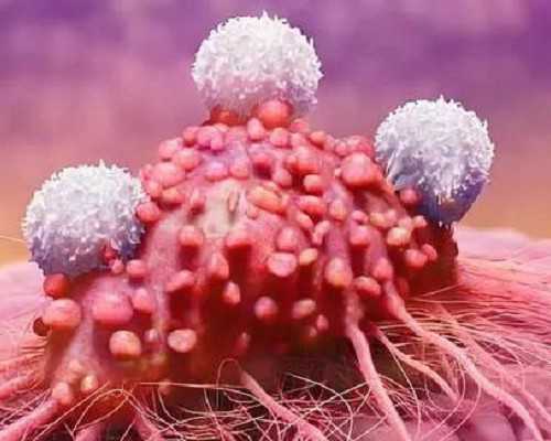 温州试管婴儿成功率解析及费用明细参考