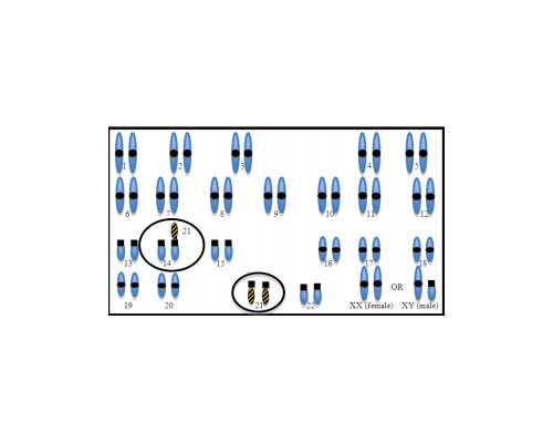 捐卵联系方式与生殖医学中心B超数据解读