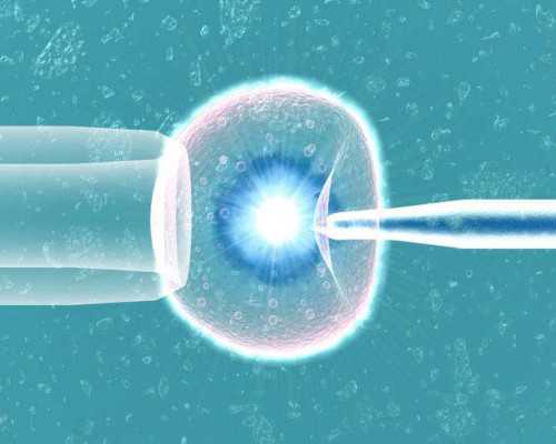 2024借卵排队时间与试管婴儿助孕指南