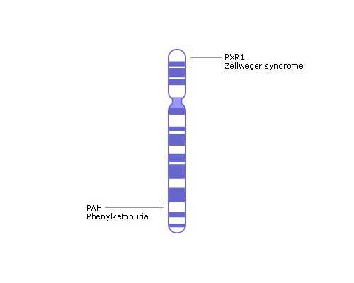 权威医院试管成功率解析与助孕机构选择指南