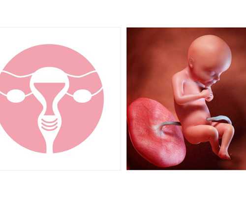 温州代怀正规性解析及试管医院名单汇总