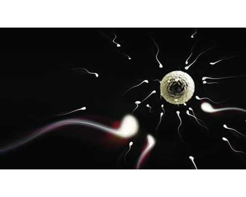 权威助孕医院：全方位生殖医学解决方案与成功案例分享