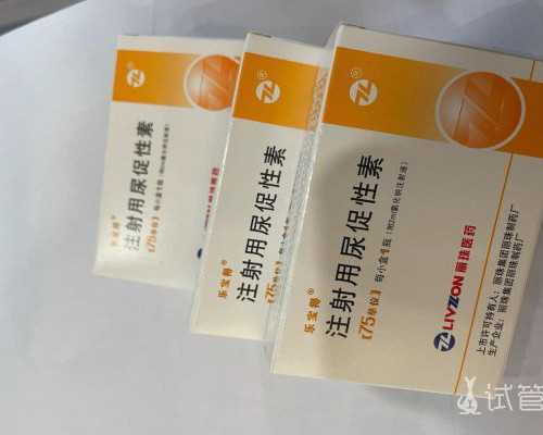 温州供精试管助孕成功率解析及私立医院选择指南