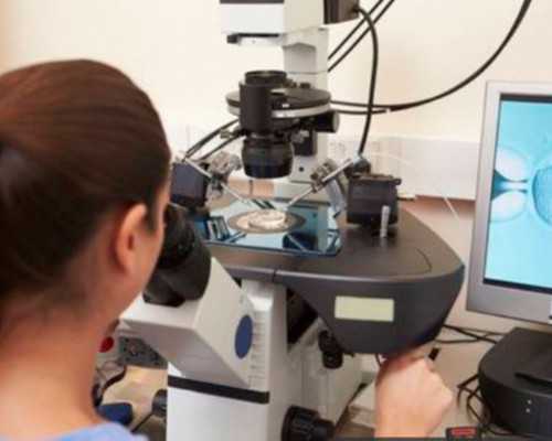 温州乐清试管婴儿医院选择指南与助孕成功率解析