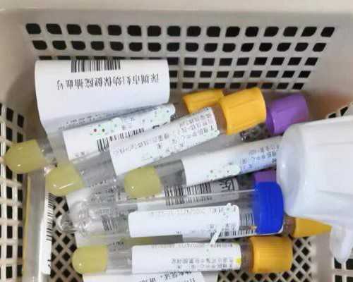 2024年权威供卵中心费用标准与顶尖试管医生推荐