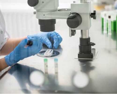 温州代生代怀机构与三代试管服务全解析：费用与选择指南